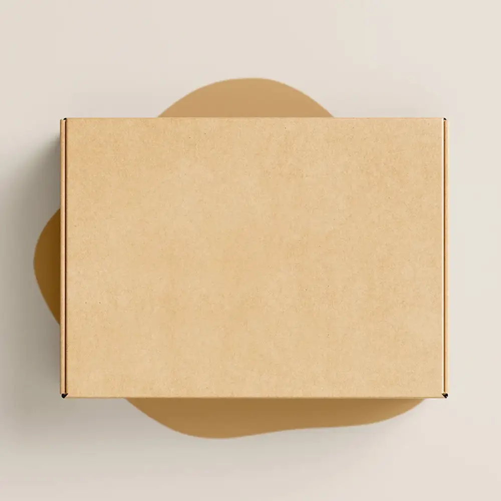 Blank Mailer Boxes 2 (1)