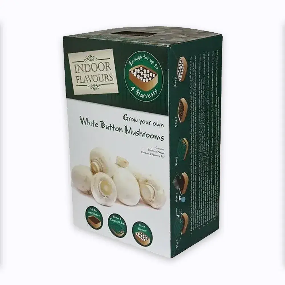 Cardboard Mushroom Boxes2 (1)