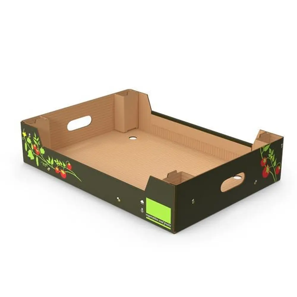 Cardboard Tray Boxes1 (1)